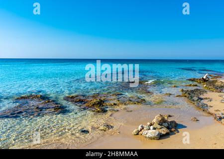 Bella acqua cristallina a Pescoluse Beach, Salento, Puglia, Italia Foto Stock