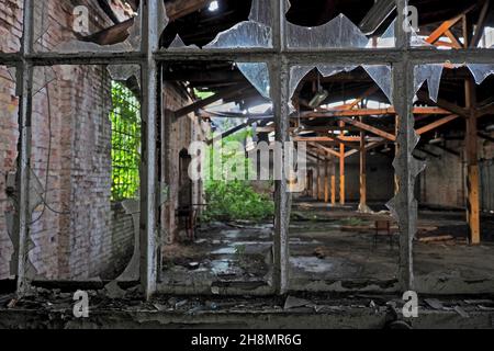 Vista attraverso la finestra spezzata in stazione ferroviaria, hall di stazione merci, rovina, luogo perduto, luogo abbandonato, rovina, Dessau-Rosslau, Sassonia-Anhalt, Germania Foto Stock