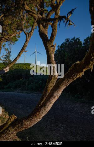 Energia eolica - Isola di Madeira, Portogallo Foto Stock