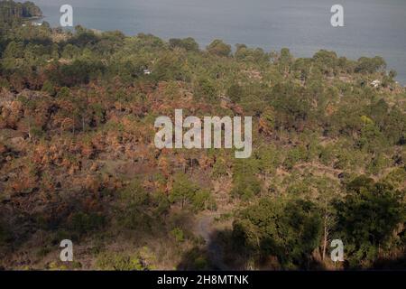 Alberi sul pavimento originale del cratere con il lago Batur sullo sfondo, Monte Batur, Bangli Regency, Bali, Indonesia, Asia Foto Stock