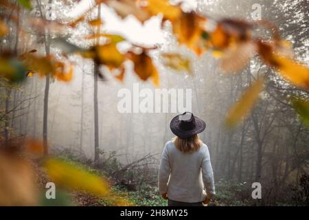 Moody atmosfera in autunno foresta. Donna che indossa maglione a maglia e cappello in piedi nella nebbia sul bosco. Divertimento della natura Foto Stock
