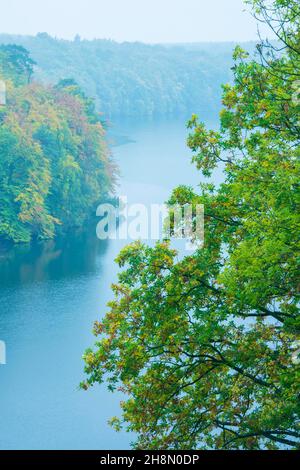 Stretto Luzin in autunno, lago, Feldberger Seenlandschaft, Meclemburgo-Pomerania occidentale, Germania Foto Stock