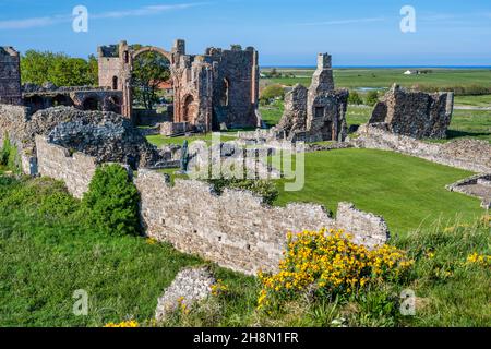Vista delle rovine del Priorato di Lindisfarne dal Heugh sull'Isola Sacra sulla costa del Northumberland d'Inghilterra, Regno Unito Foto Stock