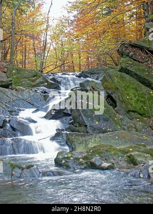 Cascata Szepit, torrente Hylaty, Monti Bieszczady, Bieszczady, Zatwarnica, La regione più selvaggia della Polonia, paesaggi boschivi unici, la Polonia Foto Stock