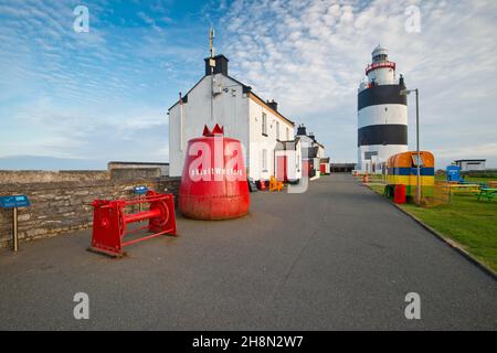 Grande boa al faro di Hook Head, Hook Head, County Wexford, Irlanda Foto Stock