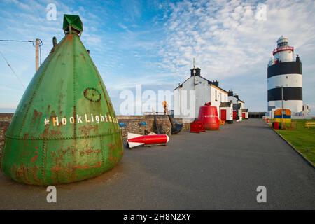 Grande boa al faro di Hook Head, Hook Head, County Wexford, Irlanda Foto Stock