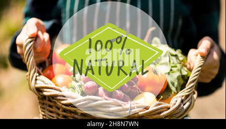 100 per cento simbolo naturale sopra la parte centrale dell'uomo che tiene il cestino di verdure fresche Foto Stock