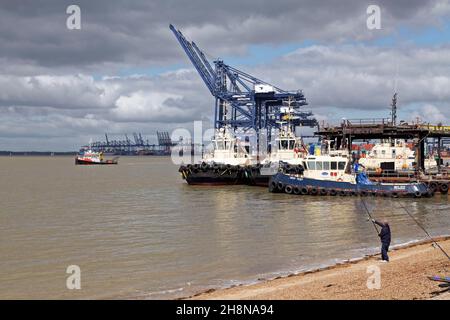 Rimorchiatori al porto di Felixstowe. Foto Stock