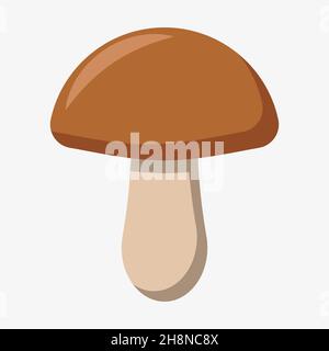 Illustrazione vettoriale di funghi commestibili isolata su sfondo bianco. Illustrazione Vettoriale