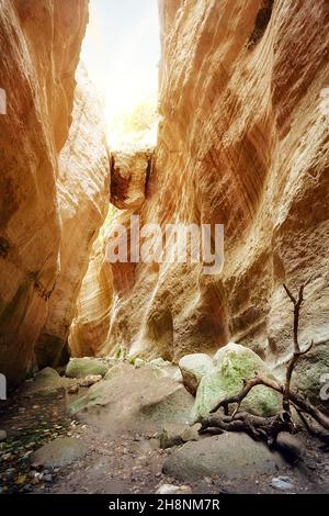 Canyon di Avakas il giorno estivo Foto Stock