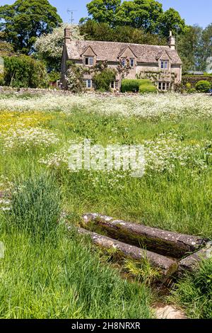 Le farfalle fiorite sul verde di fronte a un cottage in pietra tradizionale nel villaggio Cotswold di Hampnet, Gloucestershire Regno Unito Foto Stock