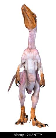 Rendering 3D di un dinosauro Deinonychus Antirrhopus isolato su bianco sfondo Foto Stock