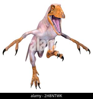 Rendering 3D di un dinosauro Deinonychus Antirrhopus isolato su bianco sfondo Foto Stock