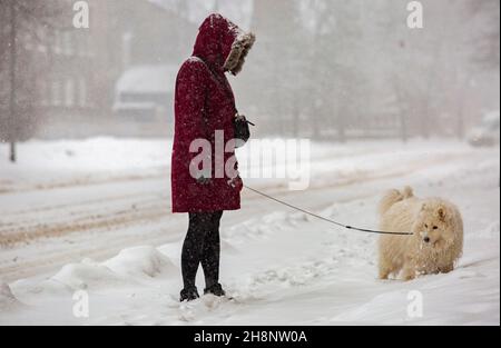 Riga, Lettonia. 1 dicembre 2021. Una donna cammina un cane nella neve a riga, Lettonia, 1 dicembre 2021. Credit: Edijs Palens/Xinhua/Alamy Live News Foto Stock