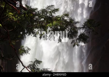 Caduta Vernal nella valle di Yosemite Foto Stock