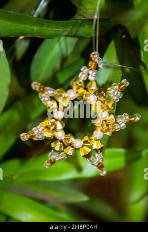 Una piccola decorazione natalizia a forma di stella dorata, fatta di perline dorate, appesa in un bosco di giallastro di Henkel, che serve come albero di Natale. Foto Stock