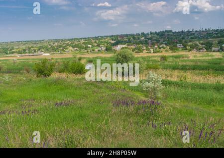 Paesaggio primaverile con medow d'acqua lungo il fiume Konka (affluente sinistro del Dnieper) nel villaggio Kamianske, Zaporizhzhia Oblast, Ucraina Foto Stock