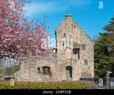 ELGIN CATHEDRAL SCOTLAND LA CASA EPISCOPALE IN PRIMAVERA CON FIORI DI CILIEGIO E NUOVE FOGLIE SUGLI ALBERI Foto Stock