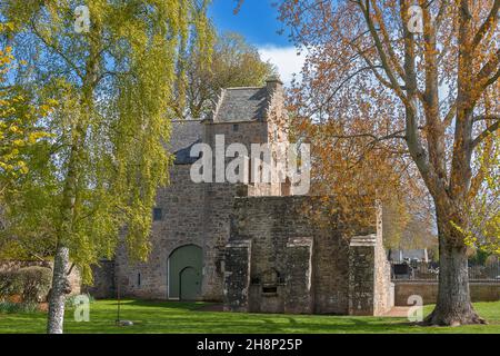 ELGIN CATHEDRAL SCOTLAND LA CASA DEI VESCOVI IN PRIMAVERA CON NUOVE FOGLIE COLORATE SUGLI ALBERI Foto Stock