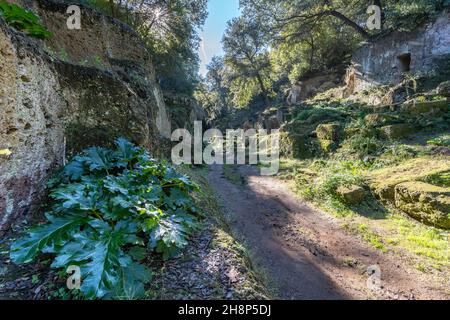 La via degli Inferi, nella necropoli di Banditaccia (Cerveteri, Italia) Foto Stock