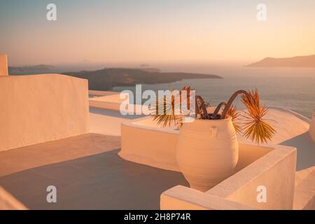 Vista del tramonto sull'isola di Santorini. Dettagli architettonici, famosa destinazione di viaggio, vista astratta da vicino delle strade in calda luce del tramonto. Piante di palma Foto Stock
