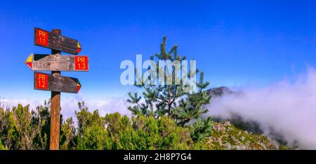 Attività escursionistica nelle montagne rocciose dell'isola di Madeira. Direzione indicazioni per Pico Ruivo punto più alto passando nelle nuvole Foto Stock