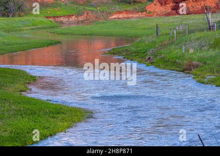 Un bellissimo paesaggio circondato da una rinfrescante e flusso di acqua naturale nel preservare park Foto Stock