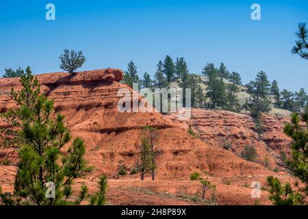 Uno strato di terreno accidentato formazioni rocciose di preservare il parco nazionale Foto Stock