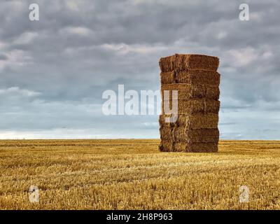 Pila di balle di fieno Foto Stock