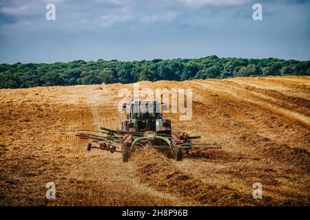 Preparazione per imballare sulla fattoria Foto Stock