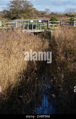 Chiusa alla Riserva Naturale di Pagham Harbour. Foto Stock