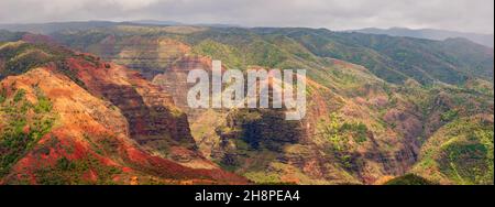 Affacciato sul Waimea Canyon state Park in una giornata di nebbia, Kauai, Hawaii, USA Foto Stock