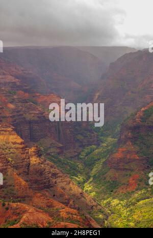 Affacciato sul Waimea Canyon state Park in una giornata di nebbia, Kauai, Hawaii, USA Foto Stock