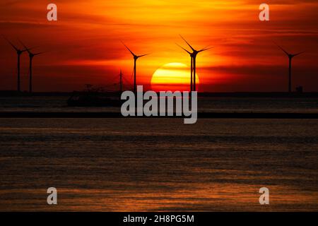 Parco eolico offshore sul mare. Turbine eoliche in tarda serata al tramonto. Paesi Bassi, vicino a Zeeland Bridge. Foto Stock
