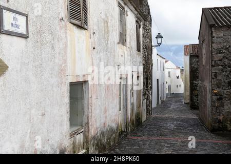 Cane per le strade di Vila do Corvo, Corvo Isola Azzorre Portogallo Foto Stock