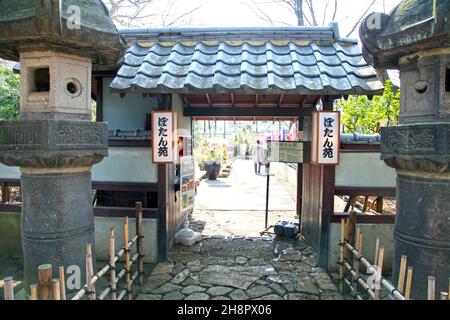 Ingresso al giardino di peonia al Santuario di Ueno Toshogu nel Parco di Ueno, Tokyo. Foto Stock