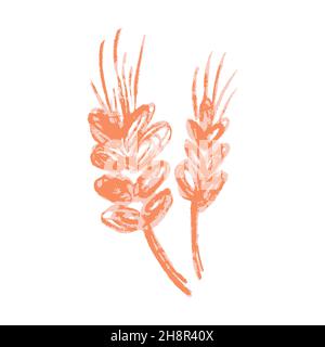 Spighe di grano. Icona in stile disegno a mano. Disegno con pastelli di cera, gesso colorato, creatività dei bambini. Cartello, simbolo, adesivo Illustrazione Vettoriale