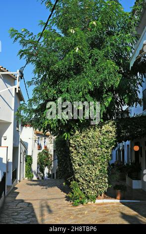 Centro storico di Calella de Palafrugell Baix Empordà regione Gerona provincia, Catalogna, Spagna Foto Stock