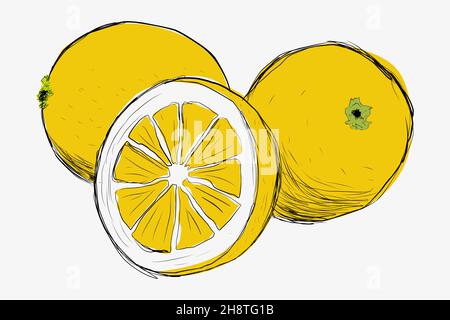 Limoni disegnati a mano. Limone in sezione disegnata a mano. Illustrazione Vettoriale