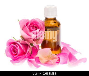 Olio di rosa con petali di rosa isolati su sfondo bianco Foto Stock