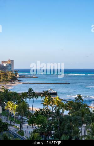 Vista aerea delle palme sulla spiaggia, Waikiki Beach, Honolulu, Oahu, Hawaii Islands, STATI UNITI Foto Stock