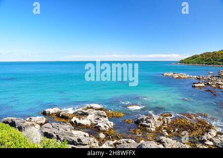 Vista sull'oceano dalla spiaggia rocciosa di Bluff, Nuova Zelanda. Bluff è una città e porto marittimo della regione di Southland, sulla costa meridionale dell'Isola del Sud di N Foto Stock