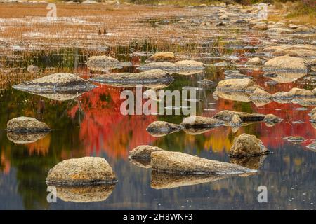 Lilly Pond, Kancamagus Highway, White Mountain National Forest, New Hampshire, Stati Uniti Foto Stock