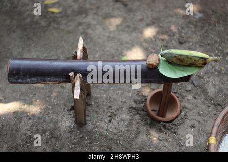 Replica di Seesaw (Un meccanismo tradizionale per rendere il riso polveroso). Questa replica è utilizzata al momento della cerimonia nuziale in Famiglia Indù. Foto Stock