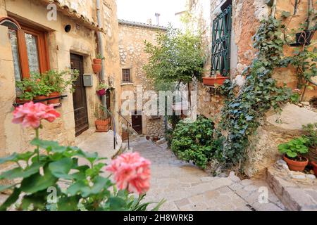 Tourrettes sur Loup, Parc Regional des Prealpes d'Azur, Alpes Martimes, 06, Region sud Foto Stock