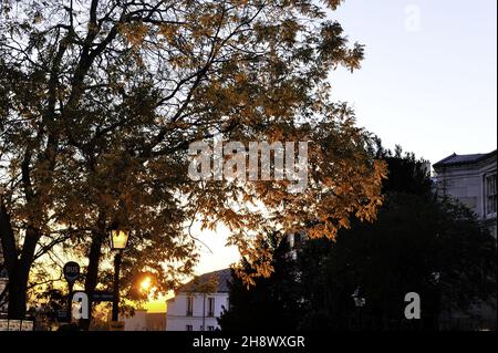 Francia, Parigi (75) 18° arrondissement, quartiere Montmartre Foto Stock