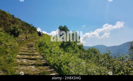 Mulattiera in pietra a cima Sasso in Val Grande, parco nazionale piemontese. Foto Stock