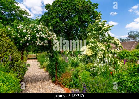 The Terrace Garden at Burrow Farm Garden – creato da Mary Benger dal 1966 a Devon, Inghilterra, Regno Unito Foto Stock