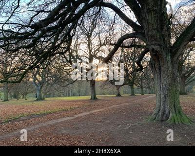 Abington Park Northampton REGNO UNITO Foto Stock