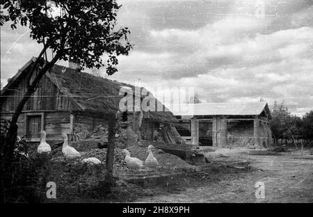 Okolice Warki, 1946-01-01. Zniszczenia w gospodarstwie wsi w okolicach Warki nad Pilic¹. po/ms PAP/Jerzy Baranowski Warka, 1 gennaio 1946. Fattoria distrutta in un villaggio vicino a Warka sul fiume Pilica. po/ms PAP/Jerzy Baranowski Foto Stock